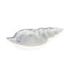 plato-decorativo-favignana-concha