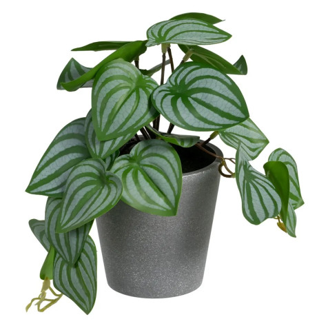 potos-verde-blanco-pvc-25-x-21-x-21,50-cm