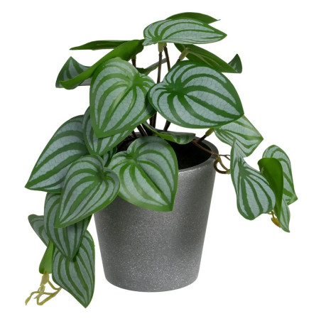 potos-verde-blanco-pvc-25-x-21-x-21,50-cm