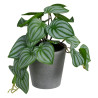 potos-verde-blanco-pvc-25-x-21-x-21,50-cm
