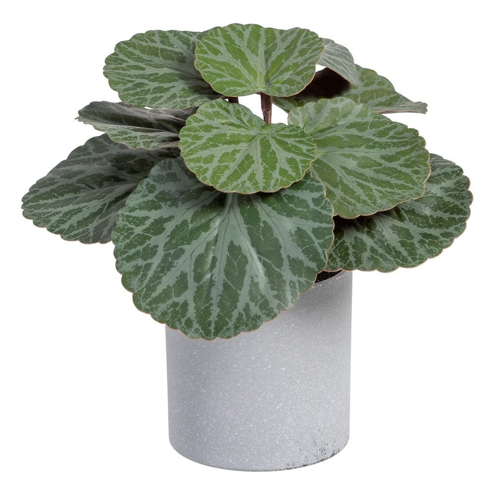 saxifraga-verde-pvc-20-x-21-x-18-cm