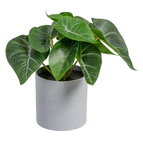 singonio-verde-pvc-20-x-17-x-18-cm