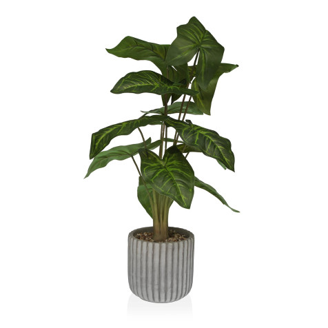 planta-en-maceta-53cm