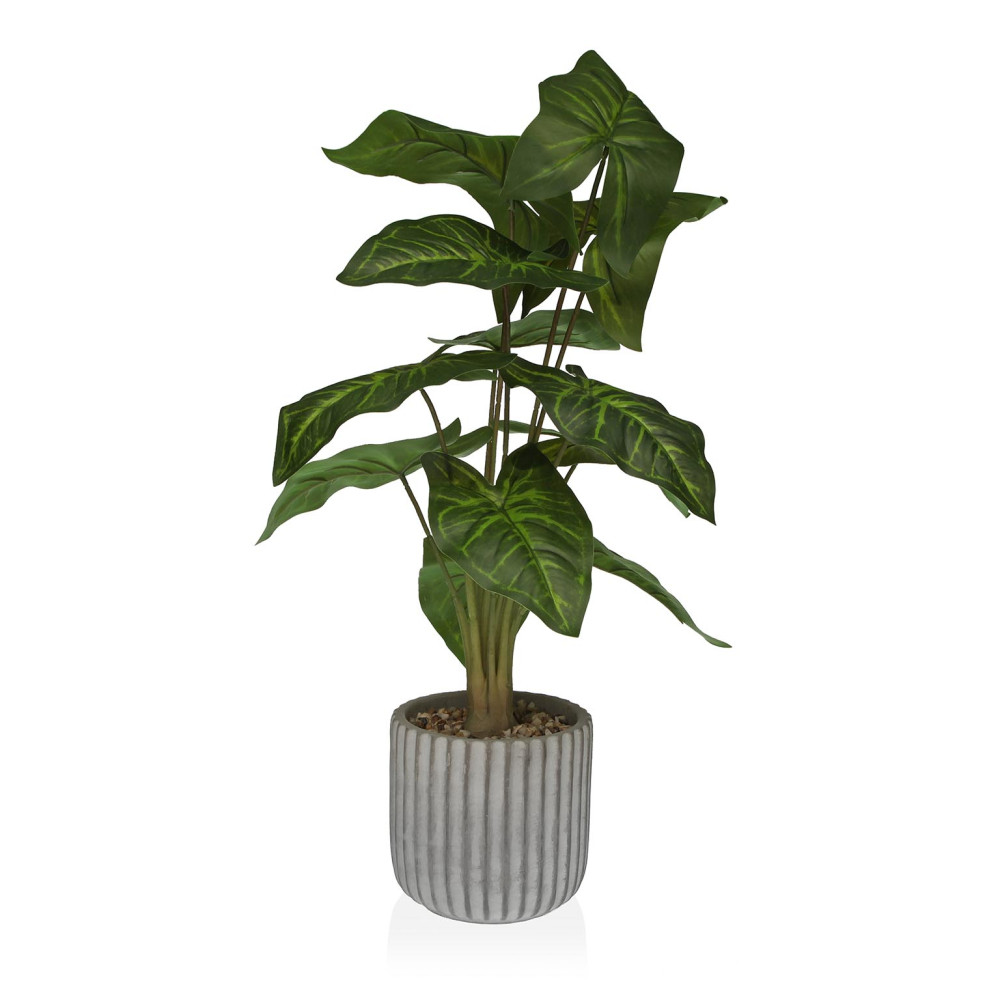 planta-en-maceta-53cm
