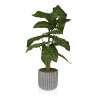 planta-en-maceta-53cm