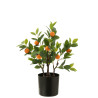 naranjo-maceta-arti-nar/ver-s-(45x32x60cm)