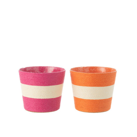 jard-raya-pap/pet-rosa/naranja-(17.5x17.5x15cm)-su