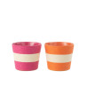jard-raya-pap/pet-rosa/naranja-(17.5x17.5x15cm)-su