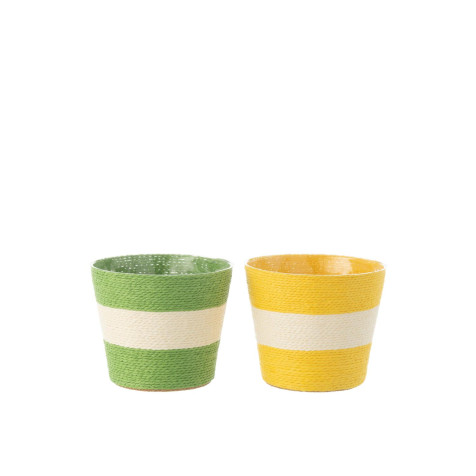 jard-raya-pap/pet-ama/v-m-as2-(15x15x13cm)