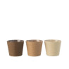 jardi-pap/pet-cr/na/mar-l-as3-(17.5x17.5x15cm)