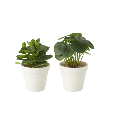 plant-en-maceta-artifi-ver-as2-(16x12x22cm)