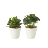 plant-en-maceta-artifi-ver-as2-(16x12x22cm)