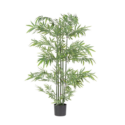 planta-bambo-macetero-h150cm