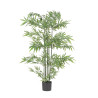 planta-bambo-macetero-h150cm
