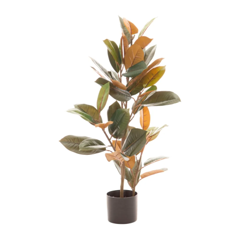 planta-ficus-verde-oscuro-36-x-37-x-90-cm