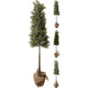 pinetree-burlap-pot-106cm