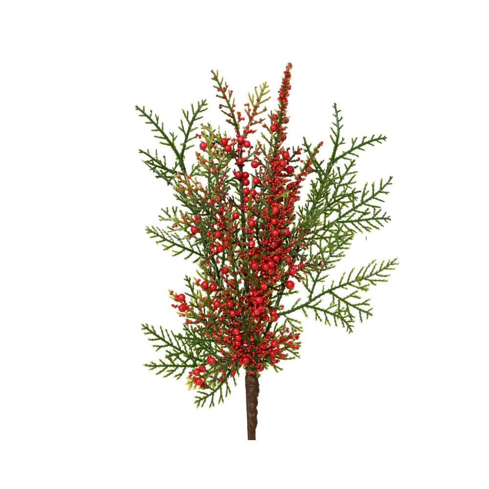 rociador-de-bayas-frondoso-para-interior-l10.00-w2