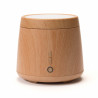 Brumizador EASY wood