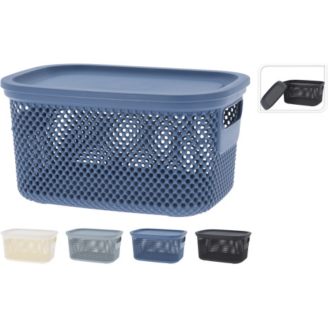 storage-box-with-lid-4ass-clr