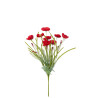 rama-poppy-arti-rojo-(17,5x17,5x50cm)